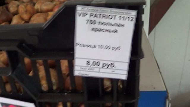 Луковицы тюльпаны, гиацинт, крокус, фритиллярия (рябчик), нарцисс. смотреть онлайн