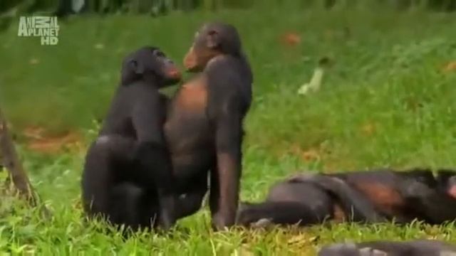 Когда нечего делать