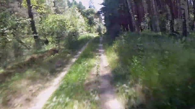 прохватил по лесу?BSE Z10 смотреть онлайн