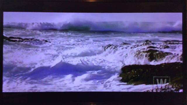 Psalm 40 Nature Music Video смотреть онлайн