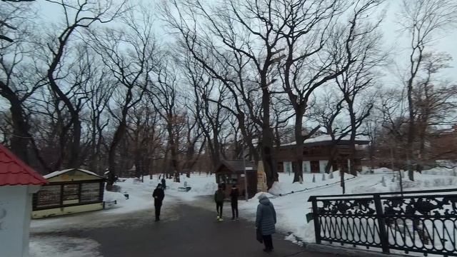 Городской парк, Саратов 28.02.2021 - Прогулка смотреть онлайн