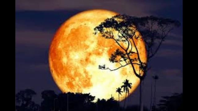 Moonshadow by Coracle Joe смотреть онлайн