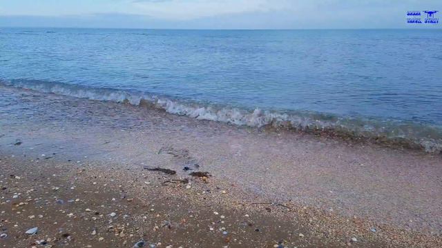 Еду на горячий источник и Азовское море! смотреть онлайн