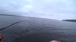 Щука на спиннинг в январе