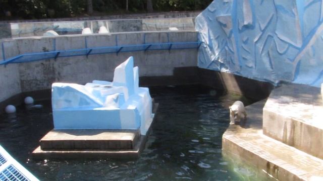 Какие же необычные медвежата у Герды! 12.07.2019 смотреть онлайн