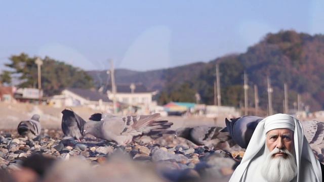 تفسير رؤية الحمام في المنام | رمز السلام والوئام والأخبار السارة смотреть онлайн