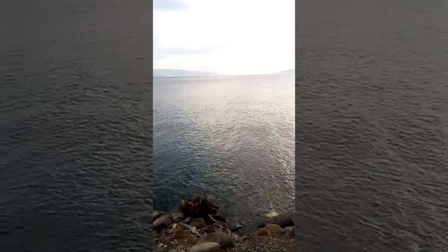 4. Капернаум, Галилейское море,Израиль. смотреть онлайн