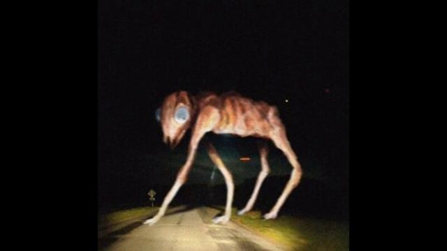 какие звуки издаёт большой Чарли ( существа Тревора )