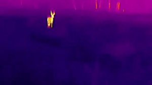 Тепловизор Jahnke JK631. Видео для Авито.