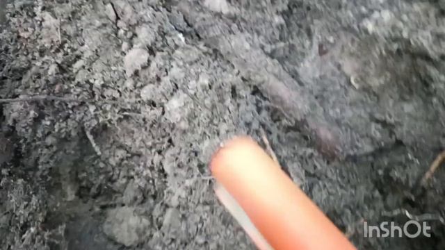 ТАКОЕ БЫВАЕТ КОП НЕ ЗАДАЛСЯ смотреть онлайн