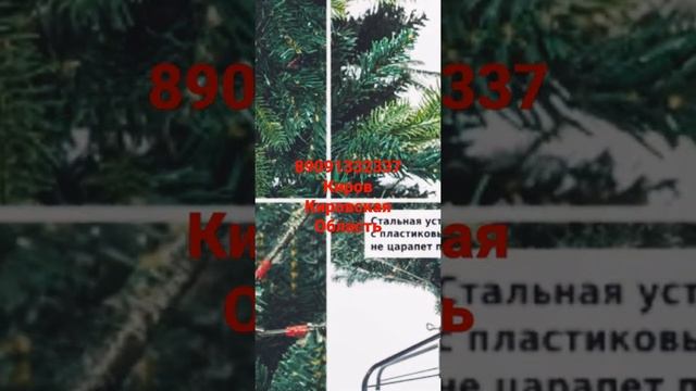 23 ноября 2021 г.