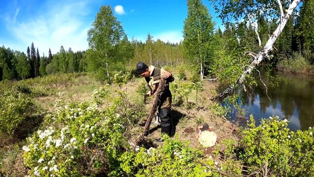 Река Татарка июнь 2022 movie #рекататарка #сезон2022 #рыбалкататарка #ангарататарка смотреть онлайн