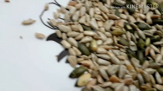 Запаковали под соль смотреть онлайн