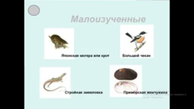 Экоурок. Глухонец Т. П.«Красная книга РК» смотреть онлайн