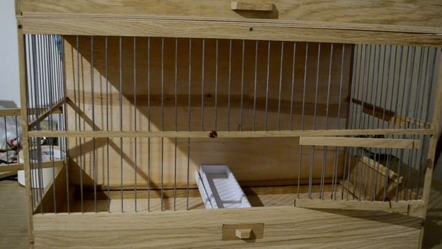 Клетка для зернояди с глухой задней стенкой. смотреть онлайн