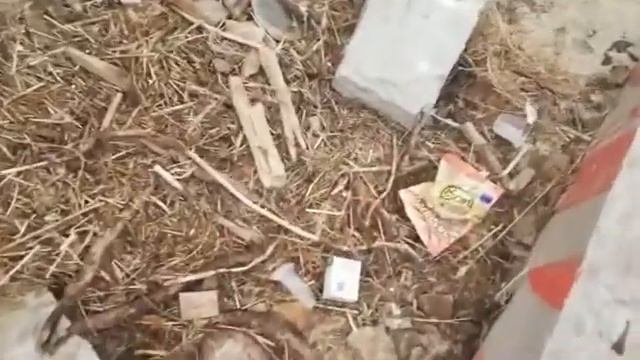Загрязнение Мирового океана и прибрежных зон пластиковыми и полиэтиленовыми отходами смотреть онлайн