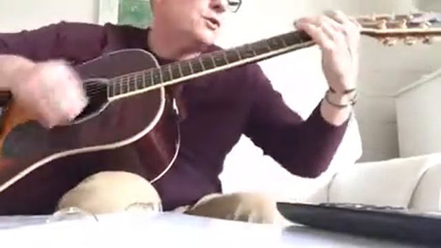 Looking Out My Back Door cover смотреть онлайн