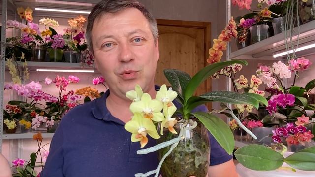 Игровой Мир