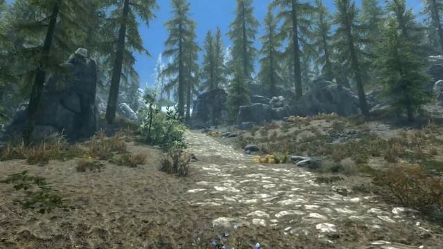 5 Главных проблем The Elder Scrolls V: Skyrim смотреть онлайн