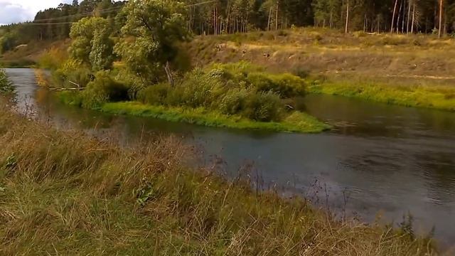 Москва-река в начале далеко от Москвы ~ 2014.08.26 Dacha River Landscape