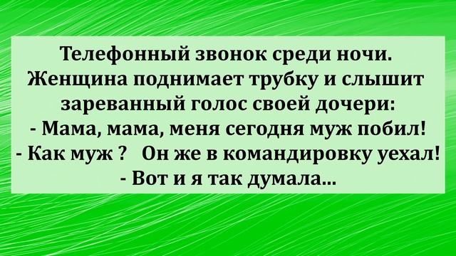 Веселые анекдоты для настроения!