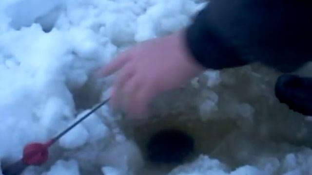 рыбалка на сухом море архангельск смотреть онлайн