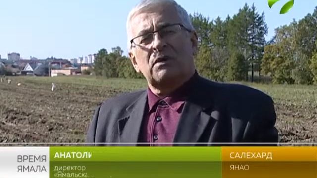 Ямальская страда. Салехардские аграрии вышли в поле на уборку картофеля смотреть онлайн
