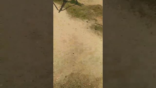 Что делаем после школы🤣 смотреть онлайн