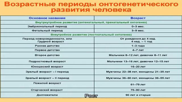 Рост и вес девочки в 13 лет смотреть онлайн