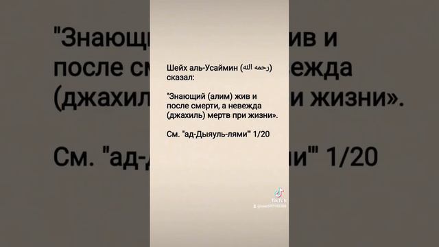 #знания #счастье #вера #ислам #иман #islam #коран #жизнь #хадис #сунна #الله #ютуб #канал #тикток смотреть онлайн
