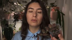 Мои ХОЙИ | обзор КОЛЛЕКЦИИ | часть 1