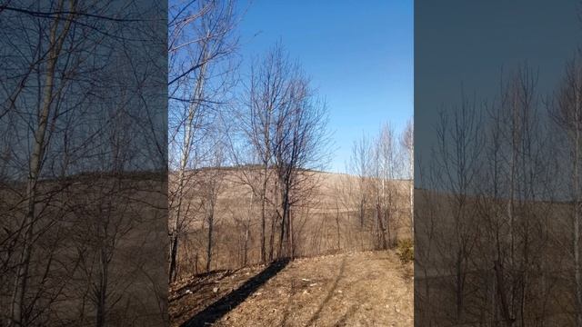 Весна. Небольшой фото отчёт где как что смотреть онлайн