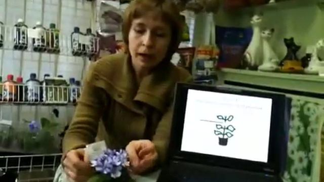 Лекция Дарьи Шумилиной ч. 1 смотреть онлайн