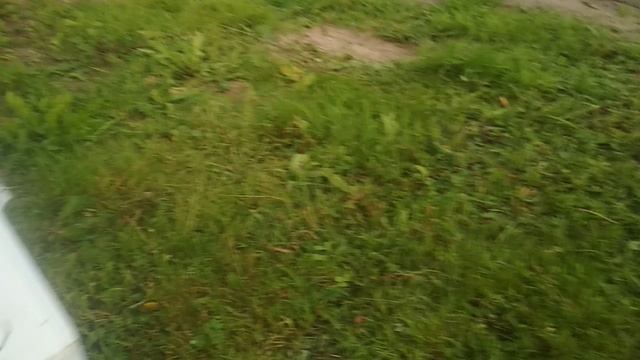 VID_20230723_202410.mp4 смотреть онлайн