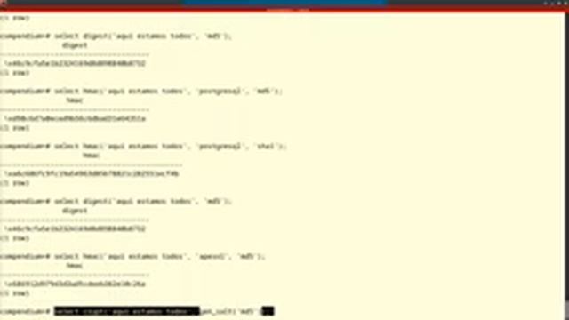 Postgresql Cifrado de Datos 1 Hash, Cifrados Básico y Cifrado Simétrico смотреть онлайн