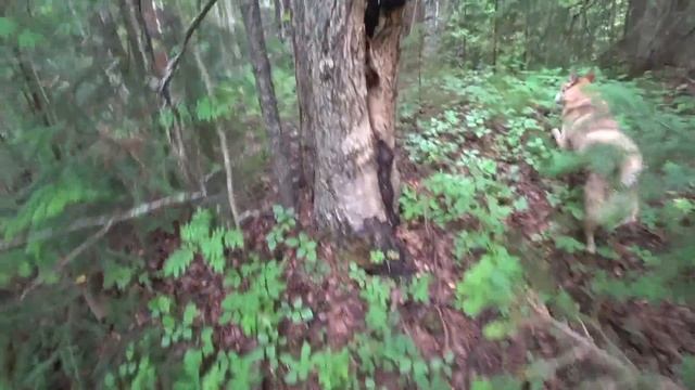 Рыбная Охота