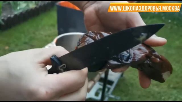 Соус гриль из баклажанов с томатами смотреть онлайн