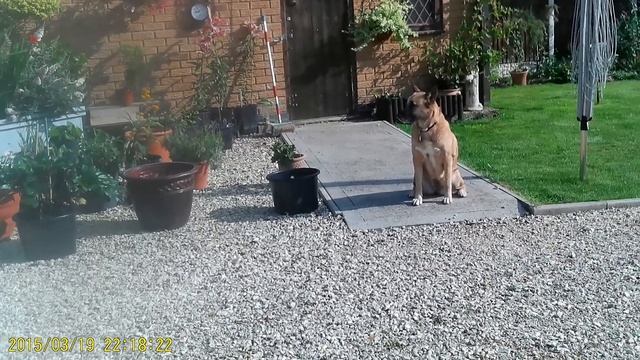 How we react is key смотреть онлайн