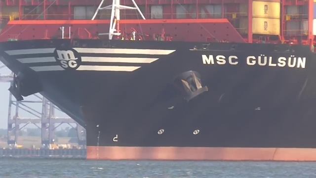 MSC GULSUN - New World's Largest Containership Departing The Port Of Felixstowe 7/9/19