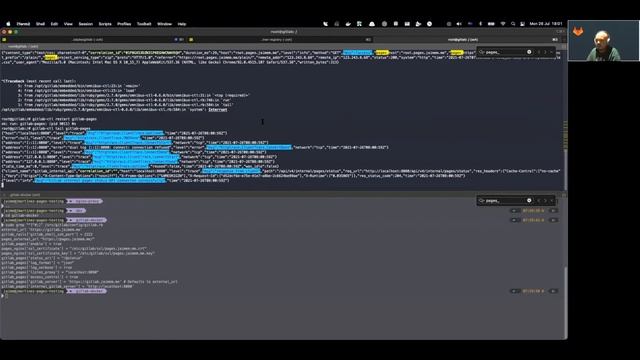 GitLab Pages running on Docker with access control enabled смотреть онлайн