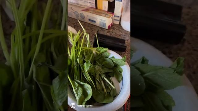 Green juice reaction смотреть онлайн