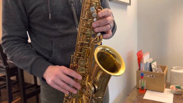 203,xxx Selmer Mark VI Alto Demo, www.dcsax.com смотреть онлайн