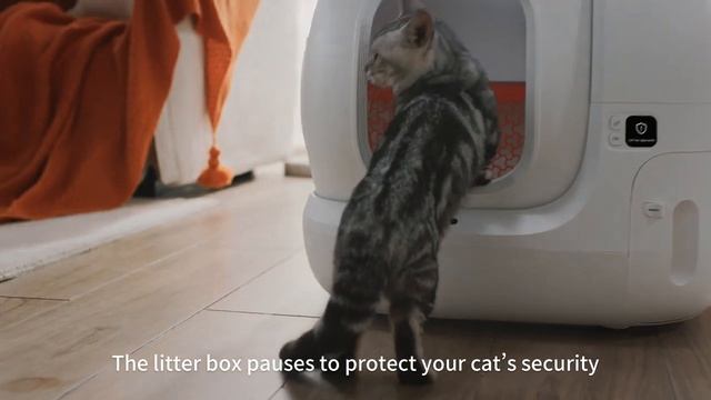 PETKIT PURA MAX Self-cleaning Cat Litter Box, No More Scooping,More Pleasant! смотреть онлайн