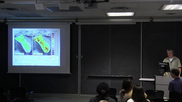 Surface sealing effect on dry-land ecohydrology смотреть онлайн