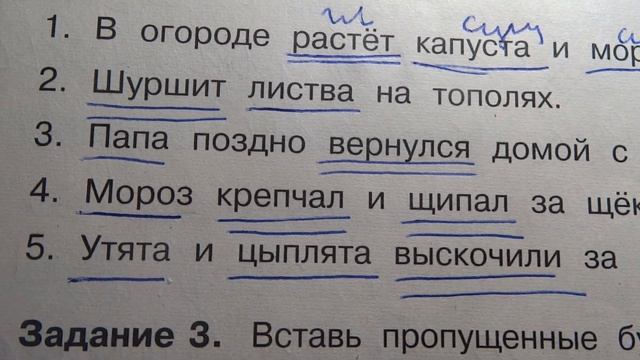 Проверяю летние задания по русскому языку