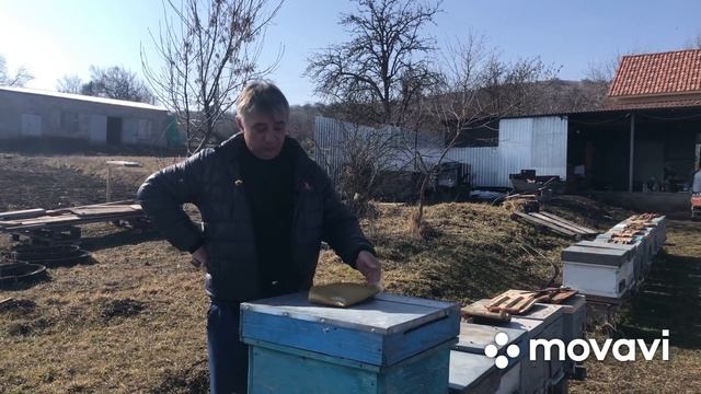 Главная ревизия пчелосемей ( 22.02.22). смотреть онлайн