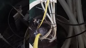 сервисное обслуживание Итал био 3