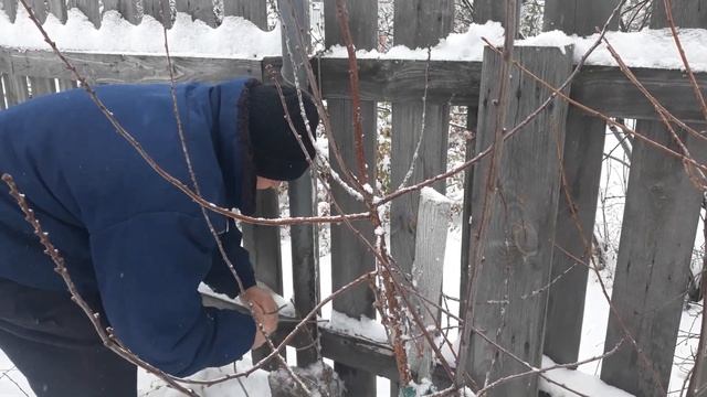 Они нас уже заждались... .