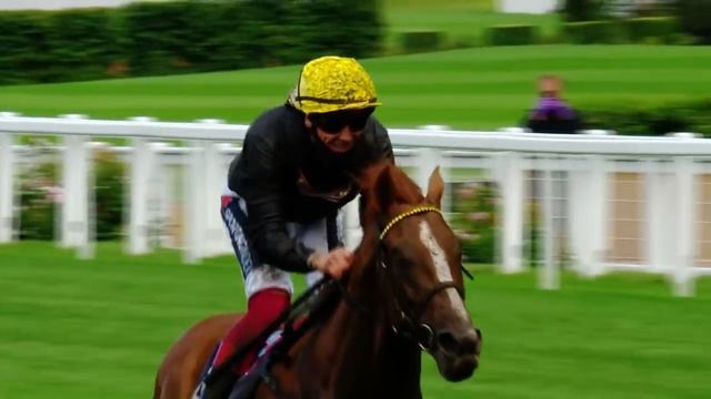 "I love her so much!" - Frankie Dettori on Enable and the Arc смотреть онлайн