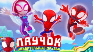 Паучок и его удивительные друзья